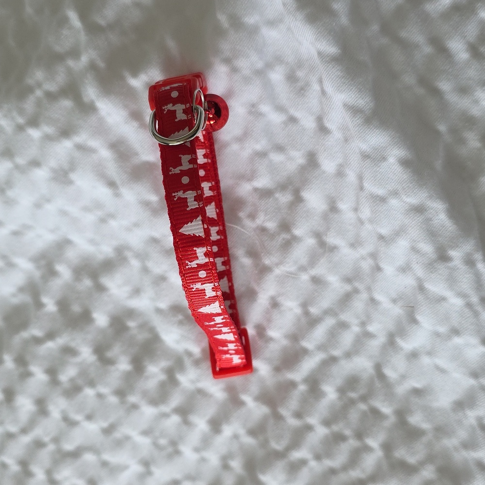 Festive Chriatmas Dog Bandanas Set - Red, Green, Blue, Gray & Red Collar - Picture 7 of 9